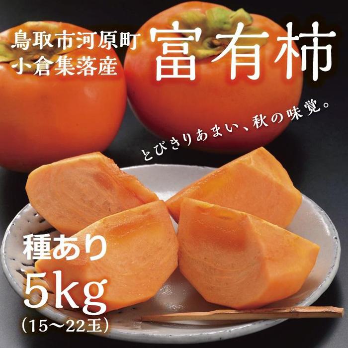 【ふるさと納税】富有柿 5kg箱 (L～2Lサイズ) | 鳥取　柿　期間限定