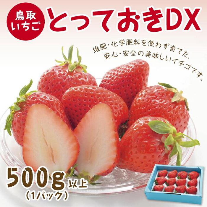 【ふるさと納税】とっておきDX 500g 鳥取いちご【とみハウス】 | 送料無料