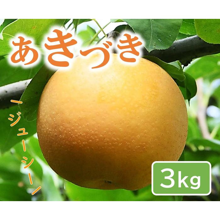 【ふるさと納税】あきづき 3kg【やぶやフルーツガーデン】 | 梨 なし 鳥取 送料無料
