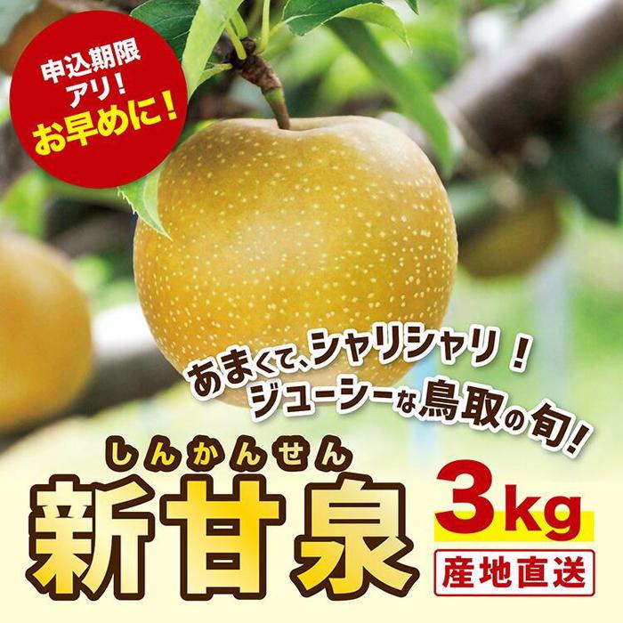 【ふるさと納税】新甘泉 3キロ【安田農園】 | 鳥取　梨 なし 送料無料 期間限定
