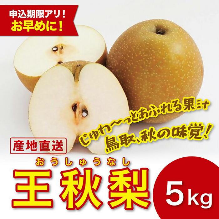 【ふるさと納税】王秋梨 5キロ【安田農園】 | 鳥取 梨　なし　送料無料　期間限定