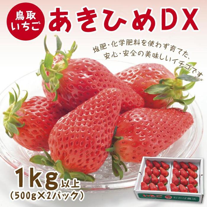 【ふるさと納税】あきひめDX 1kg 鳥取いちご【とみハウス】 | 苺