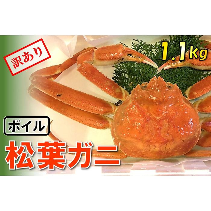 【ふるさと納税】【魚倉】足1本なしボイル松葉ガニ (特特大1,100g) 訳あり | 国産 ズワイガニ 松葉ガニ カニ 蟹 かに 浜茹 カニ鍋 かに鍋 鍋 かにしゃぶ かにみそ 期間限定 送料無料 鳥取県 鳥取市|鳥取県鳥取市