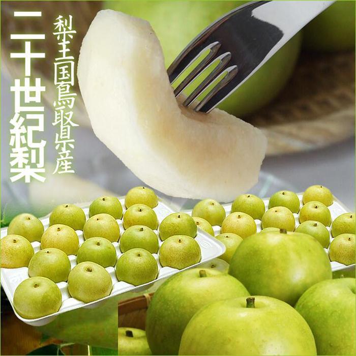 【ふるさと納税】鳥取県産 二十世紀梨5kg 訳あり【フォーシーズン】 | 鳥取  梨  送料無料
