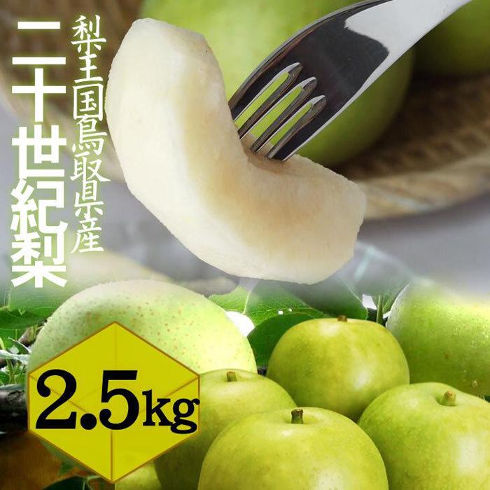 【ふるさと納税】鳥取県産 二十世紀梨2.5kg 訳あり【フォーシーズン】 | 鳥取  梨  送料無料