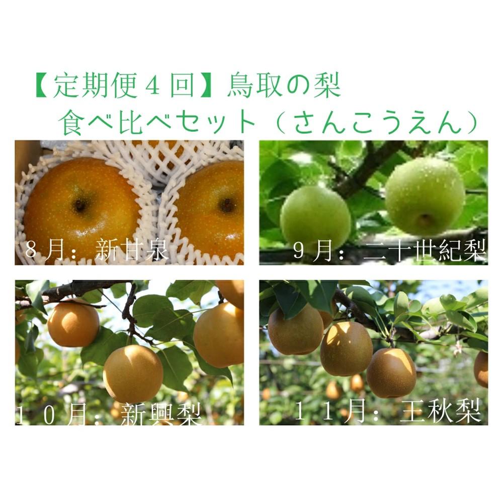 【ふるさと納税】【定期便4回】鳥取の梨食べ比べセット (各種3kg箱)