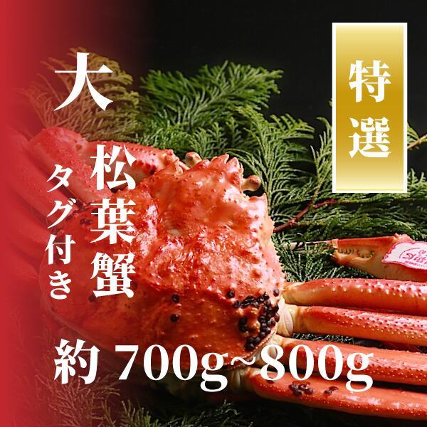 【ふるさと納税】【特選】松葉ガニ 大サイズ 約700g~800g タグ付(茹で) | 国産 タグ付き ズワイガニ 松葉ガニ カニ 蟹 かに ボイル カニ鍋 かに鍋 鍋 かにしゃぶ かにみそ 期間限定 送料無料 鳥取県 鳥取市|鳥取県鳥取市