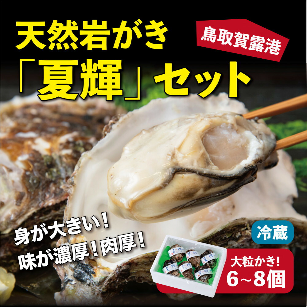 【ふるさと納税】鳥取賀露港 天然岩がき「夏輝」セット【かねまさ・浜下商店】 | 国産 天然 岩ガキ 夏輝 牡蠣 かき 冷蔵 希少 期間限定 送料無料 鳥取県 鳥取市