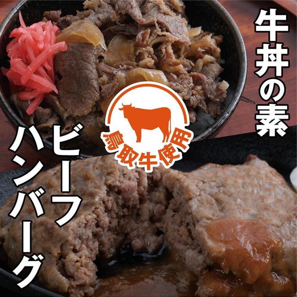 【ふるさと納税】とりちく牛丼の素・鳥取ビーフハンバーグ詰め合わせ | 鳥取 牛丼 ハンバーグ レトルト 冷凍 湯せん 国産 加工品 惣菜 送料無料 鳥取県 鳥取市｜鳥取県鳥取市