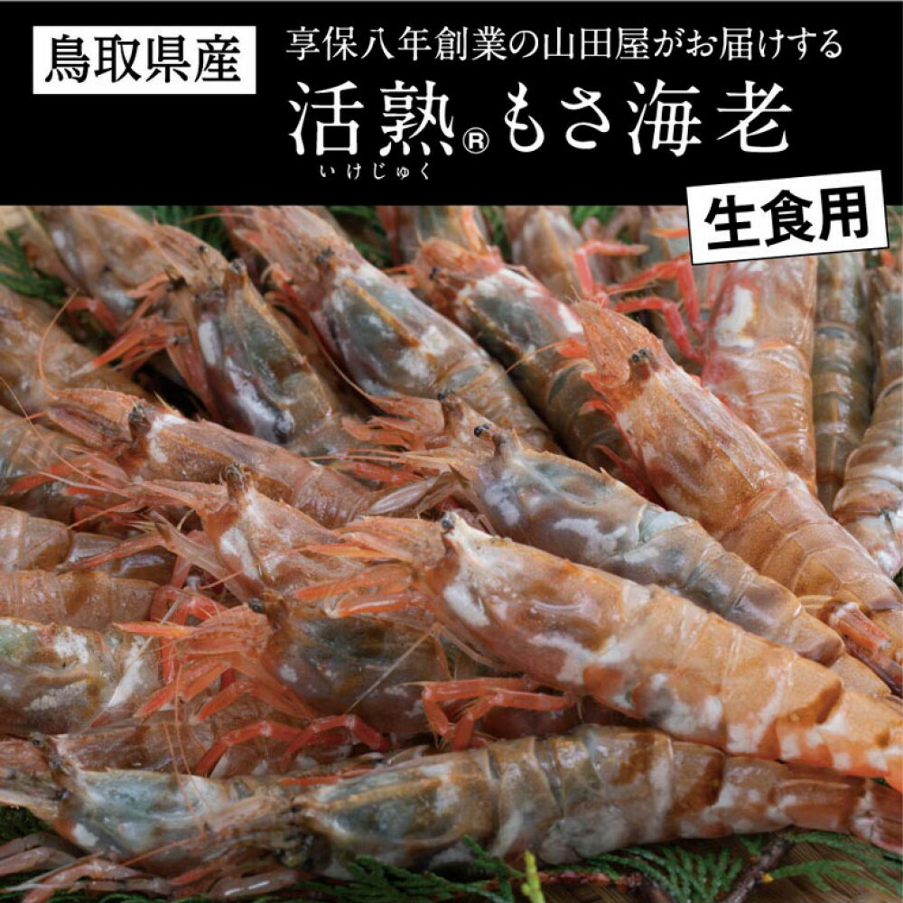 【ふるさと納税】鳥取県産 生食用もさ海老 山田屋 | えび 海老 刺身 天ぷら 塩焼き 煮つけ 急速冷凍 冷凍 海鮮 モサエビ｜鳥取県鳥取市