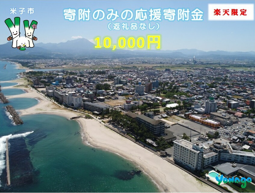 【ふるさと納税】限定 米子市応援寄付金10,000円（返礼品なし）【21-000-002】寄付のみ 寄付だけ 寄附のみ 寄附だけ