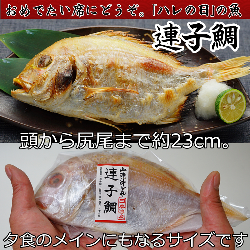 超特価sale開催 山陰の干物 4種セット A 詰合せヤマサ食品 一夜干し 米子市 ふるさと納税 魚 Fucoa Cl