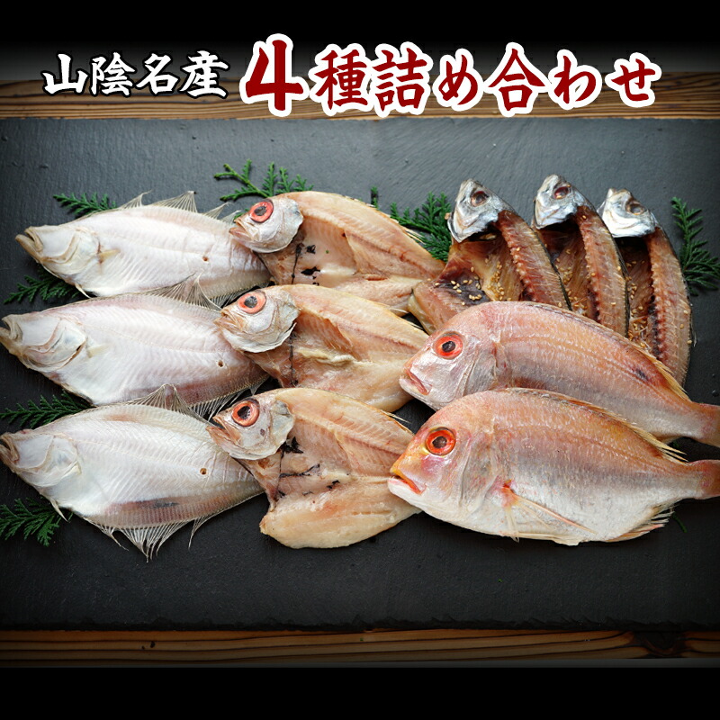 50％OFF】 山陰の干物 4種セット-B 詰合せヤマサ食品 一夜干し 米子市 ふるさと納税 魚 fucoa.cl