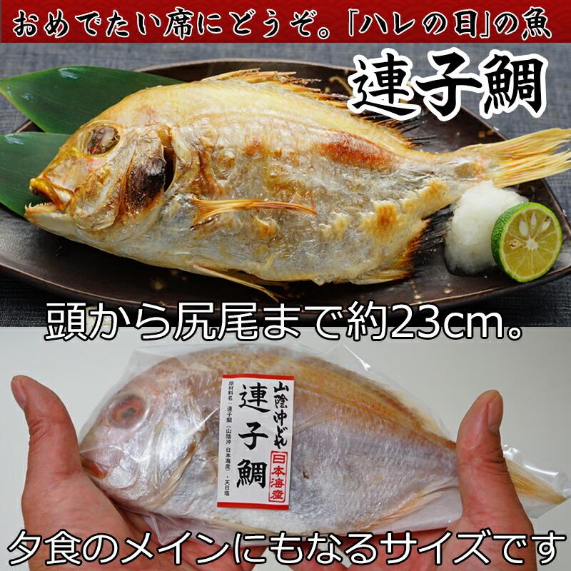 爆売り 山陰の干物 4種セット-B 詰合せヤマサ食品 一夜干し 米子市 ふるさと納税 魚 fucoa.cl