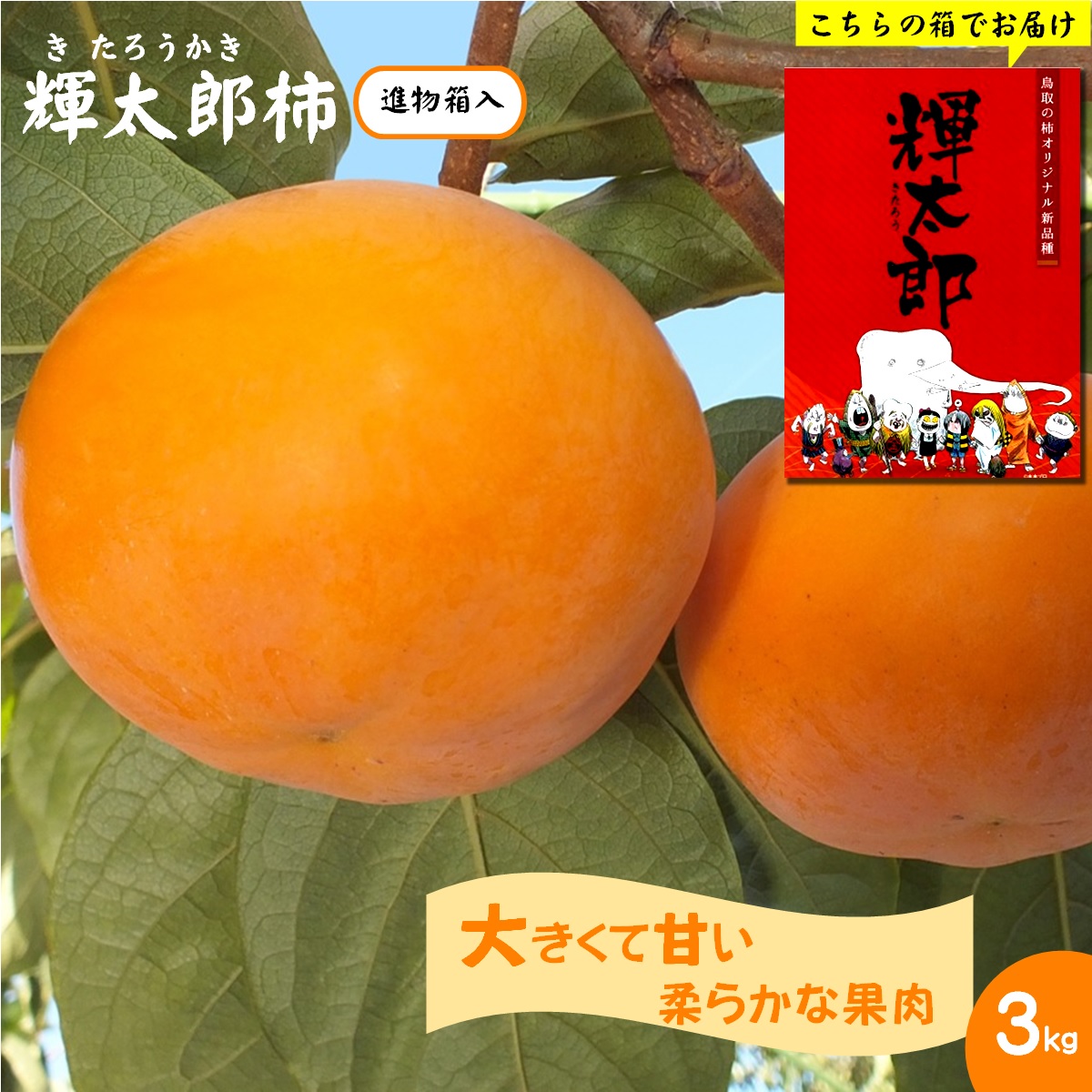 【ふるさと納税】先行予約【進物用】輝太郎柿 3kg(7～8玉) きたろうかき【24-015-011】JA鳥取西部 別所共同選果場 期間限定 先行受付 果物 フルーツ くだもの 旬 糖度 産地直送 ご当地 鳥取県産 鳥取県【10月上旬～10月下旬お届け】