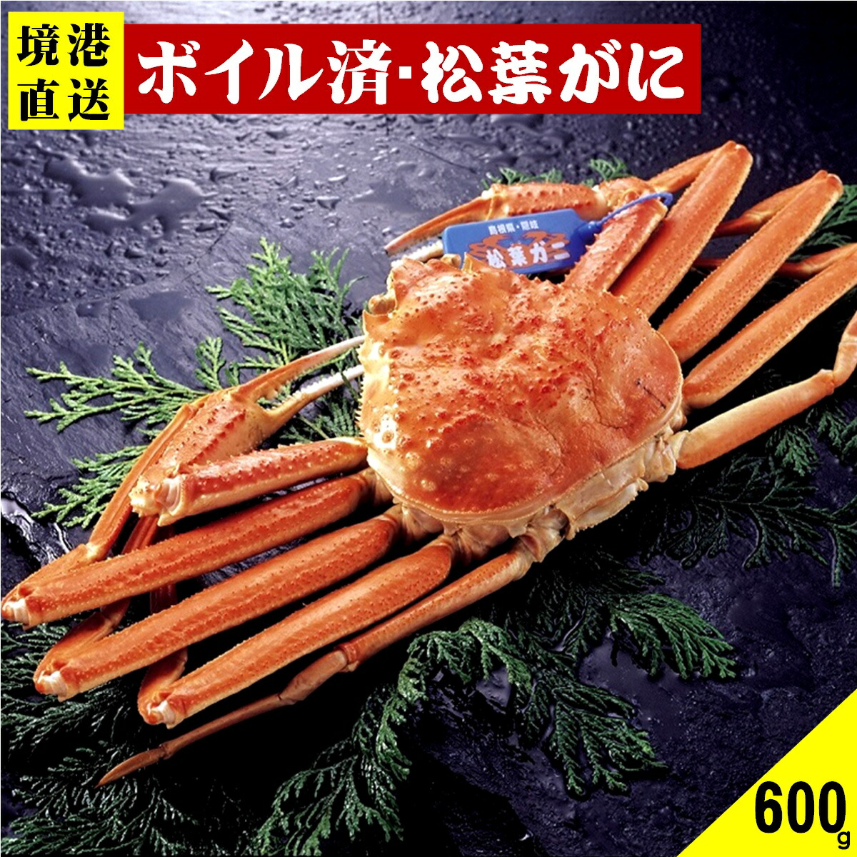 楽天市場】【ふるさと納税】先行予約 鳥取県産 茹で親がに 8枚 計約1kg