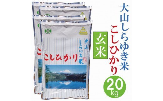 ふるさと納税 大山しらゆき米 kg コシヒカリ 玄米