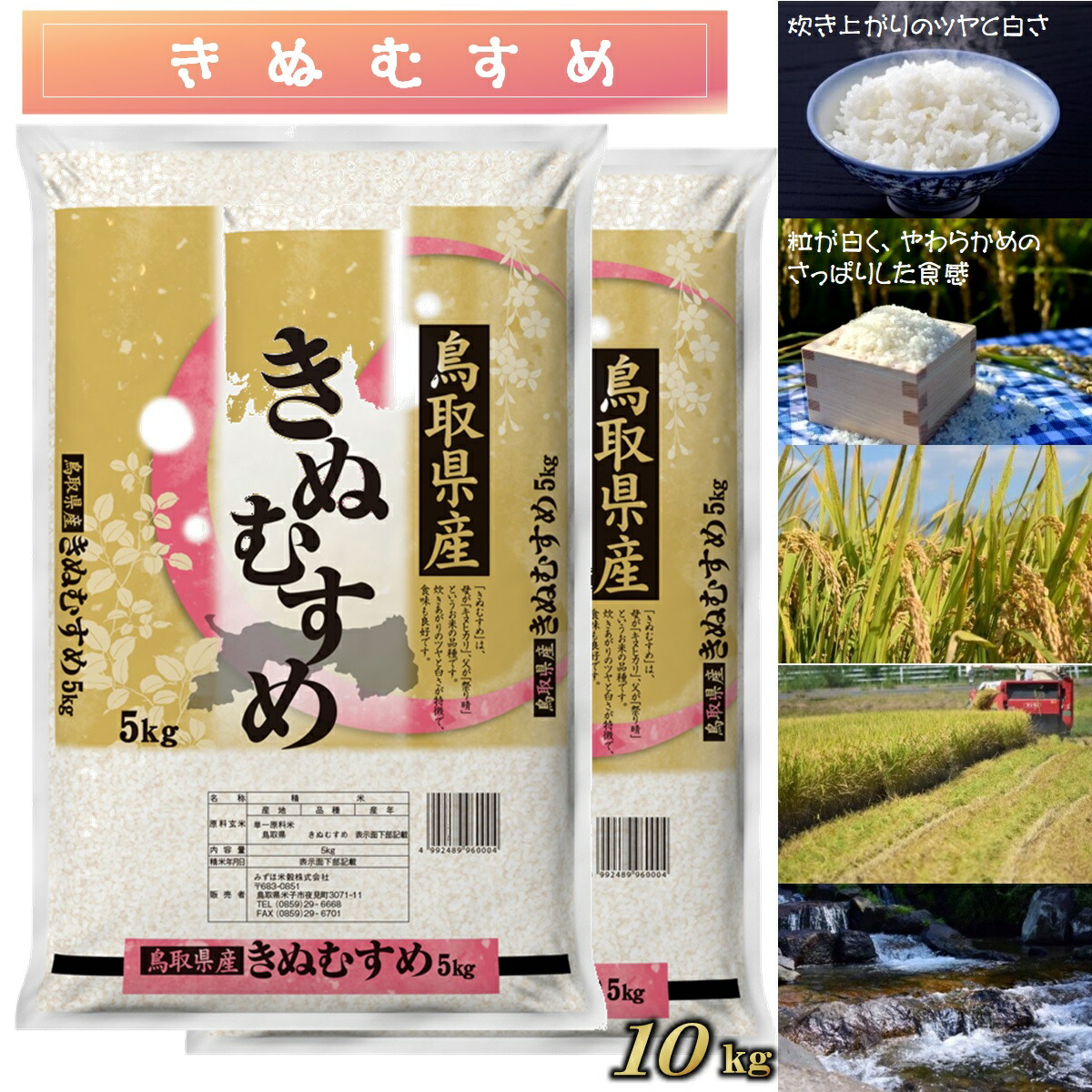 早割クーポン！ ふるさと納税 米子市 大山しらゆき米10kg 精白 コシヒカリ 5kg×2