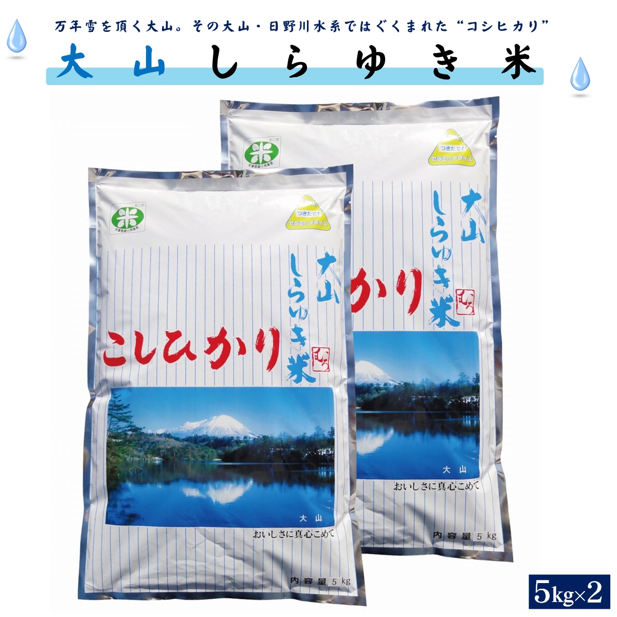 【ふるさと納税】令和6年産 こしひかり 大山しらゆき米 5kg×2 計10kg 精白【25-037-004】むろ米穀