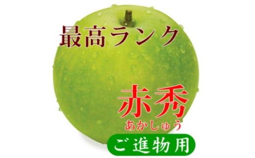 【ふるさと納税】鳥取県産 二十世紀梨 “赤秀” 3kg （8～9玉/4L～3Lサイズ)【25-014-018】【大山恵みの里公社】数量限定 二十世紀梨 ナシ なし フルーツ 果物 くだもの デザート 果汁 和梨 先行受付 産地直送 お取り寄せ ご当地 鳥取県 米子市 送料無料