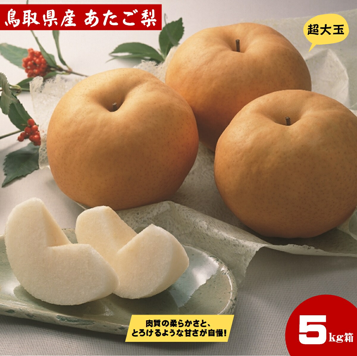 【ふるさと納税】先行予約 期間限定 あたご梨（5kg）11月中旬～12月上旬発送【25-014-010】【鳥取西部農業協同組合 米子・あいみ果実部】 梨 ナシ 果物 フルーツ なし 鳥取県 米子市 鳥取県産 くだもの 赤梨 5キロ 先行受付 お取り寄せ 数量限定 赤梨