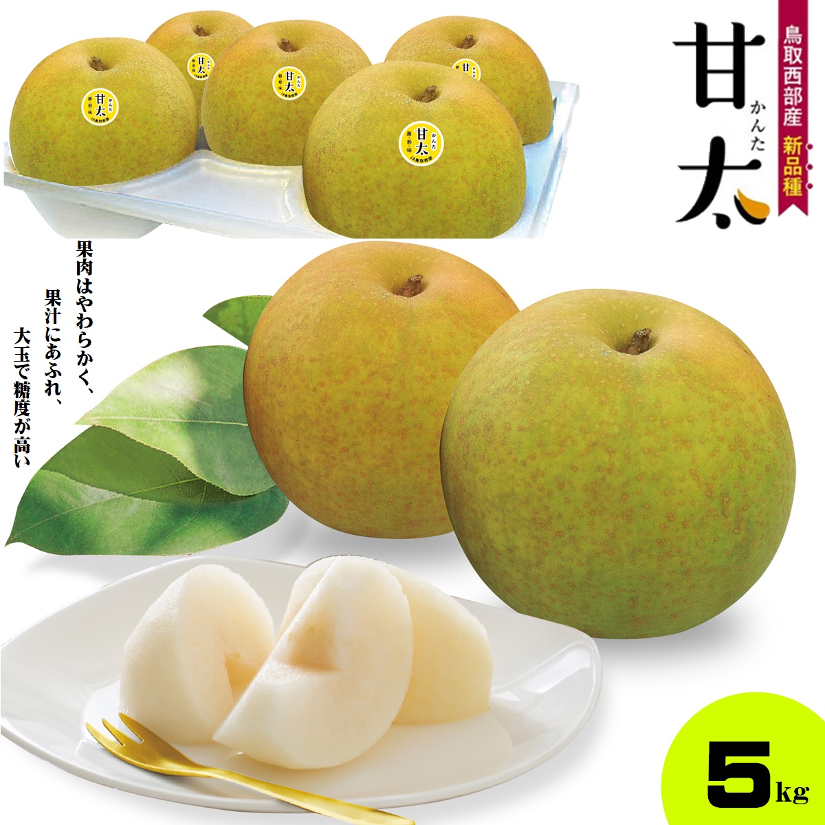 【ふるさと納税】先行受付 梨 甘太 かんた 梨 5kg 9月下旬～10月上旬お届け【25-014-011】【鳥取西部農業協同組合 米子・あいみ果実部】ナシ 果物 フルーツ なし 鳥取県産 くだもの 赤梨 5キロ 先行受付 お取り寄せ 数量限定 鳥取県 米子市 送料無料