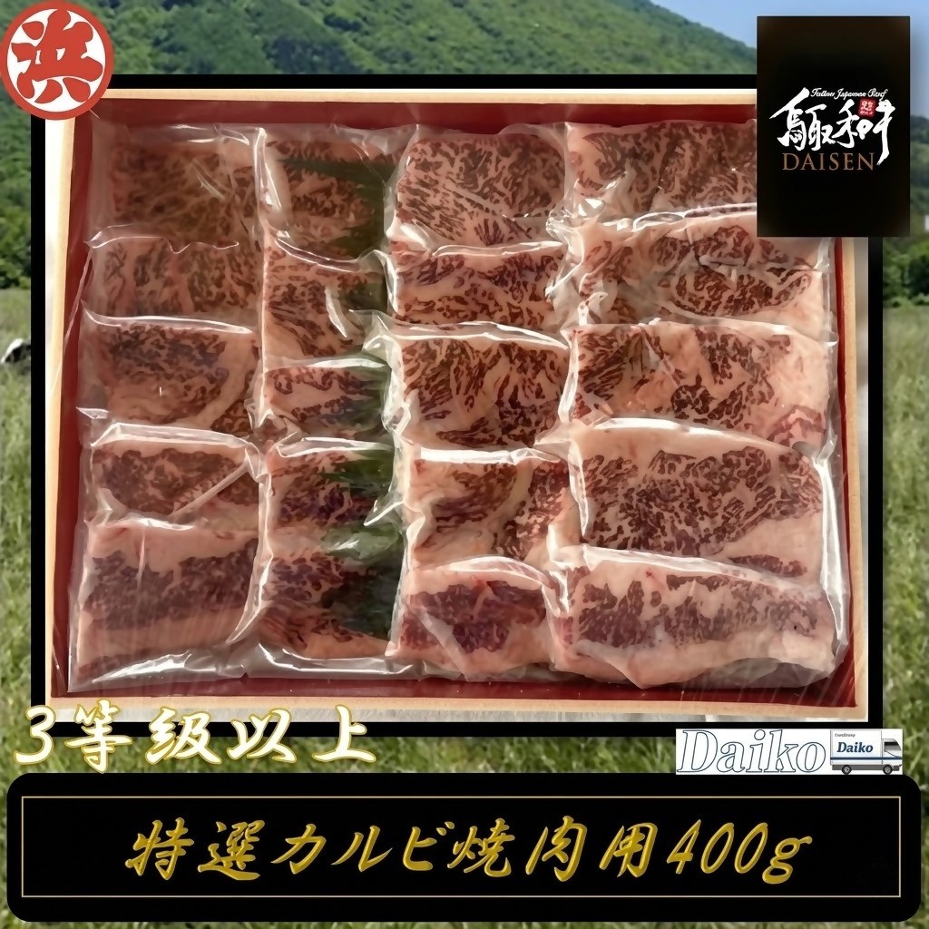 【ふるさと納税】鳥取和牛DAISEN特選カルビ焼肉 和牛 牛肉 カルビ 焼肉 スライス 鳥取県産 国産 冷凍 お取り寄せ グルメ 鳥取県 米子市 送料無料|鳥取県米子市