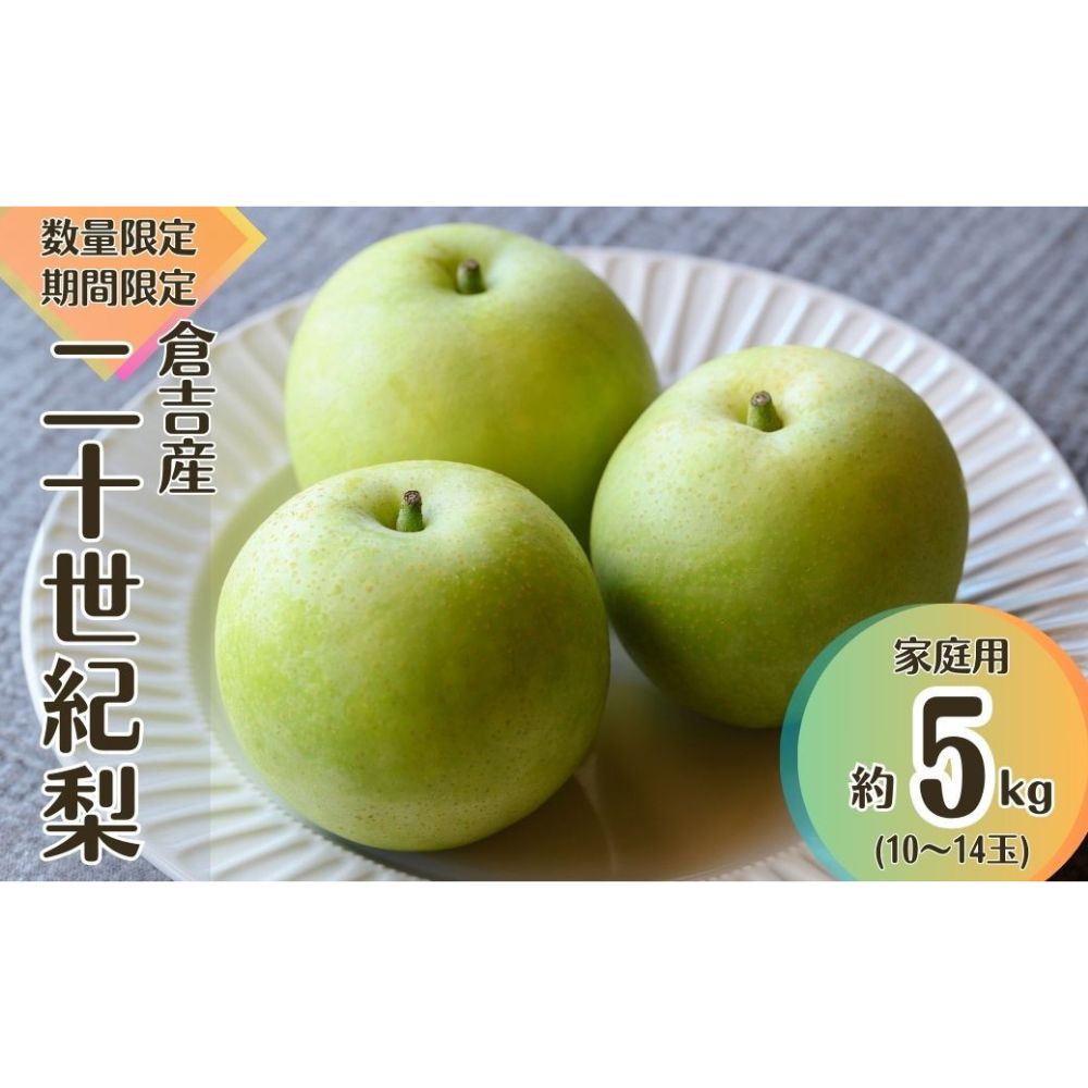 【ふるさと納税】 【先行予約】【数量限定】家庭用 二十世紀梨 5kg 令和7年産 鳥取 梨 果物 フルーツ 和梨 先行予約 数量限定 詰め合わせ 二十世紀梨 20世紀梨