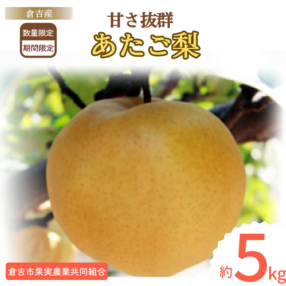 【ふるさと納税】 あたご梨 【倉吉産】 5kg（倉吉市果実農業共同組合） 梨 あたご梨 なし 鳥取 果物 フルーツ 和梨 先行予約 数量限定 詰め合わせ 甘い ジューシー 大玉 やわらかい 人気