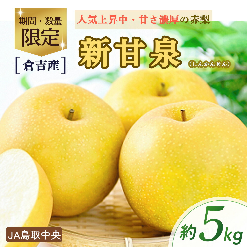 【ふるさと納税】 新甘泉 【倉吉産】5kg（ＪＡ鳥取中央） 鳥取 梨 果物 フルーツ 和梨 先行予約 数量限定 詰め合わせ 新甘泉 しんかんせん