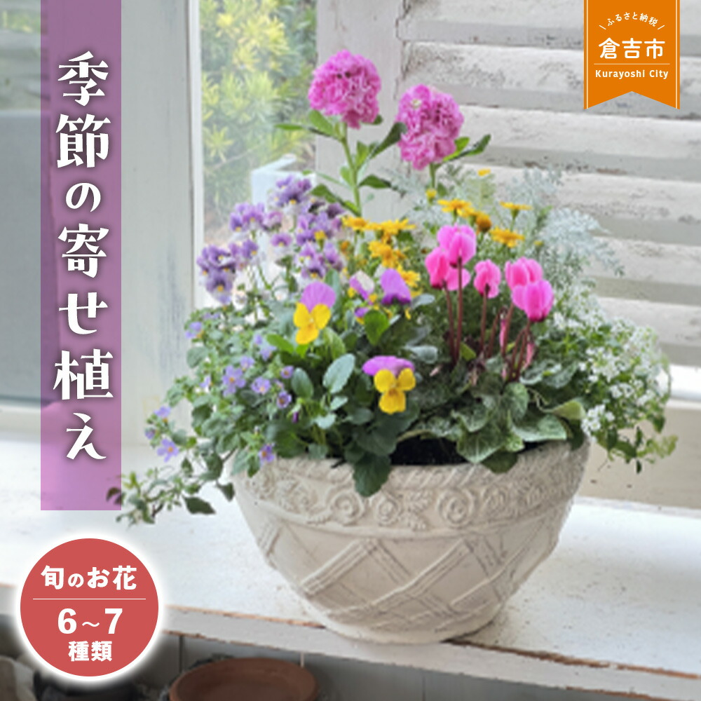 【ふるさと納税】陽気の寄せ植え Ｌ（6~7類概念） 送りとどける潮どきが選べる 【各月制限事項物量】 Le Ciel お花 差し上げ物 花苗 苗 書き割り 寄せ植え 鉢植え 花やしき