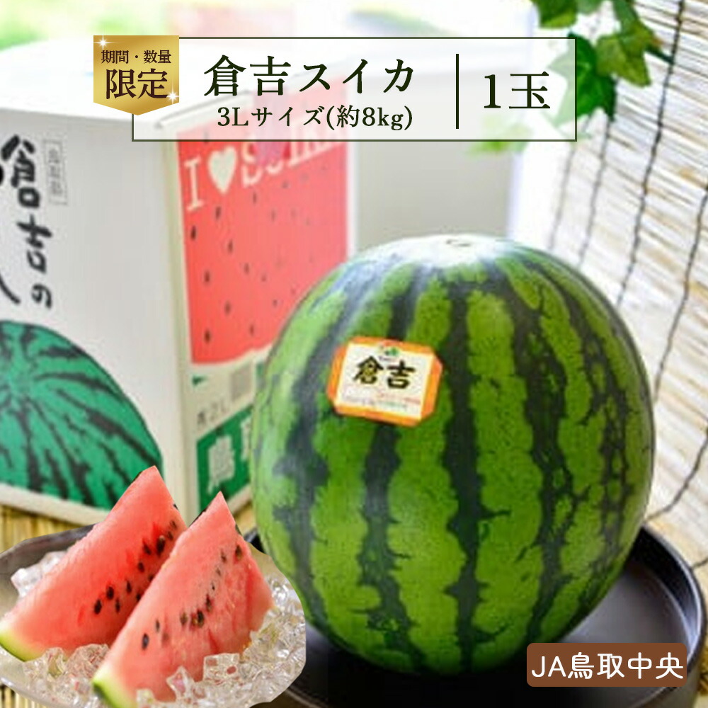 【ふるさと納税】倉吉スイカ1玉 （JA鳥取中央）3Lサイズ すいか 鳥取 大玉 果物 フルーツ スイカ 数量限定 期間限定