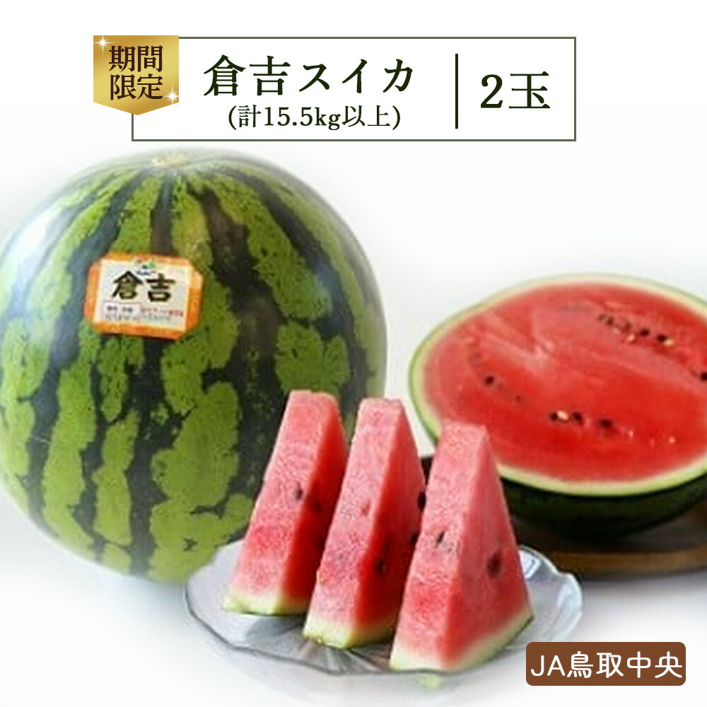 【ふるさと納税】 倉吉スイカ 2玉 【JA鳥取中央】 すいか 鳥取 大玉 2玉 果物 フルーツ スイカ 数量限定 期間限定