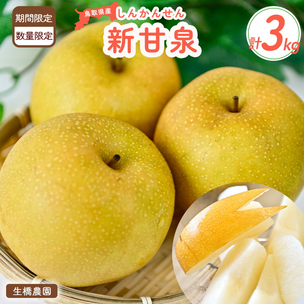 【ふるさと納税】 新甘泉 3kg (生橋農園) しんかんせん ブランド梨 鳥取県産 梨 ナシ フルーツ 果物 フルーツ 和梨 先行予約 数量限定