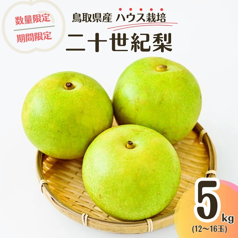 【ふるさと納税】【先行予約・数量限定】ハウス二十世紀梨 鳥取県産 ５kg 令和6年産 （生橋農園）梨 鳥取 5kg 果物 フルーツ 和梨 先行予約 数量限定 詰め合わせ 二十世紀梨 20世紀梨 今が旬 人気 甘い