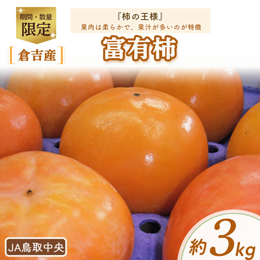 【ふるさと納税】【数量限定】 富有柿 （約3kg） 柿 果物 フルーツ ふゆうがき 高糖度 甘カキ 甘柿 ポリフェノール タンニン 期間限定 数量限定 鳥取県 倉吉市