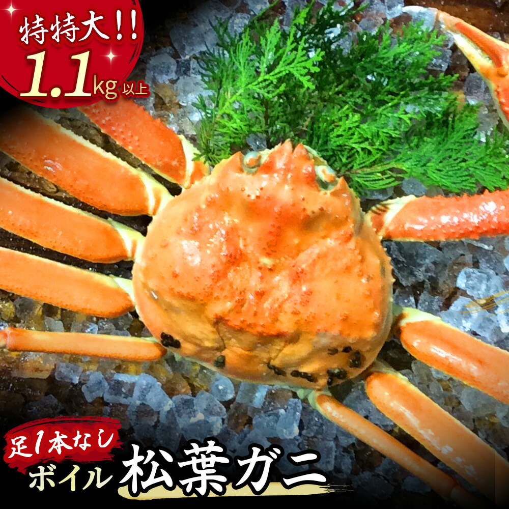 【ふるさと納税】 【魚倉】足１本なし ボイル 松葉ガニ （特特大 1,100g 以上） 訳あり ズワイガニ 松葉蟹 欠け カニ かに かにしゃぶ 【11月から3月発送予定】