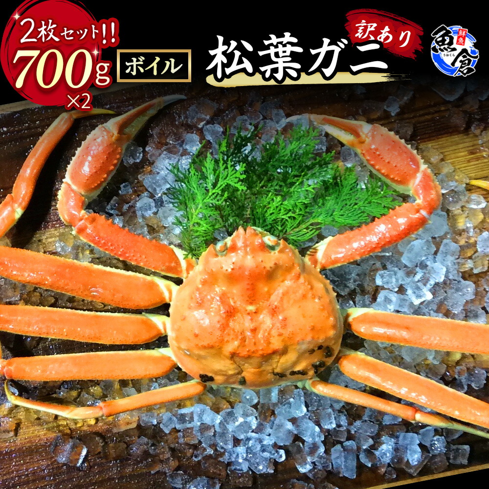 【ふるさと納税】【魚倉】訳ありボイル松葉ガニ２枚セット 冷蔵 カニ ボイル 松葉ガニ タグ付き 新鮮 訳あり ズワイガニ カニ爪 期間限定 ずわいがに わけあり 国産 鳥取県 倉吉市