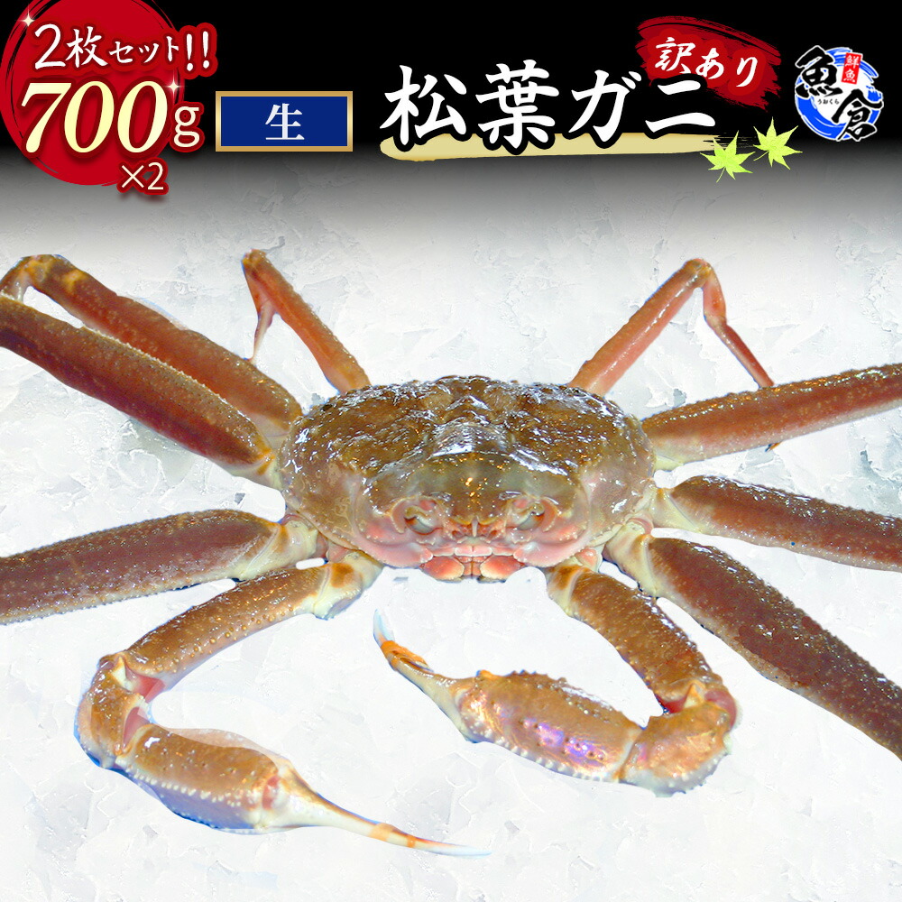 【ふるさと納税】【魚倉】訳あり生松葉ガニ２枚セット 700g以上 松葉ガニ カニ ズワイガニ カニ爪 訳あり わけあり 冷蔵 かにしゃぶ カニ刺身　ずわいがに 鮮度抜群 国産 高級 足欠け 足かけ 鳥取県 倉吉市