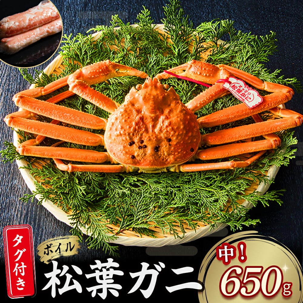 【ふるさと納税】 【魚倉】タグ 付き ボイル 松葉ガニ（中 650g 以上） ズワイガニ 松葉蟹 カニ かに かにしゃぶ 【11月から3月発送予定】
