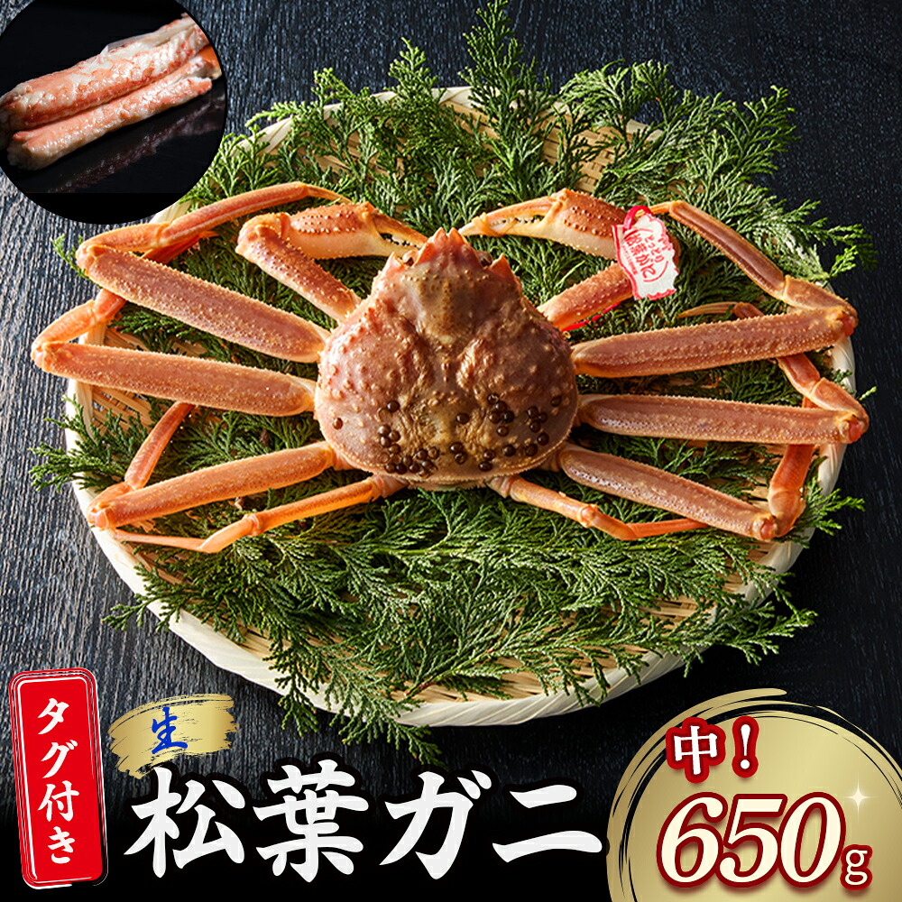 【ふるさと納税】【先行予約】【魚倉】タグ付き生松葉ガニ（中650g） 松葉ガニ カニ ズワイガニ カニ爪 タグ付き 冷蔵 かにしゃぶ カニ刺身 限定価格 限定寄付額 鳥取県 倉吉市｜鳥取県倉吉市 30,550円