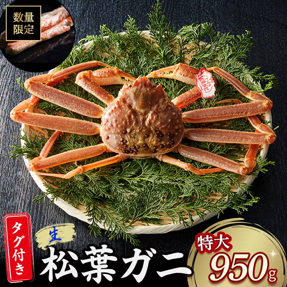 【ふるさと納税】 【魚倉】タグ 付き 生 松葉ガニ （特大950g） ズワイガニ 松葉蟹 カニ かに かにしゃぶ 【11月から3月発送予定】