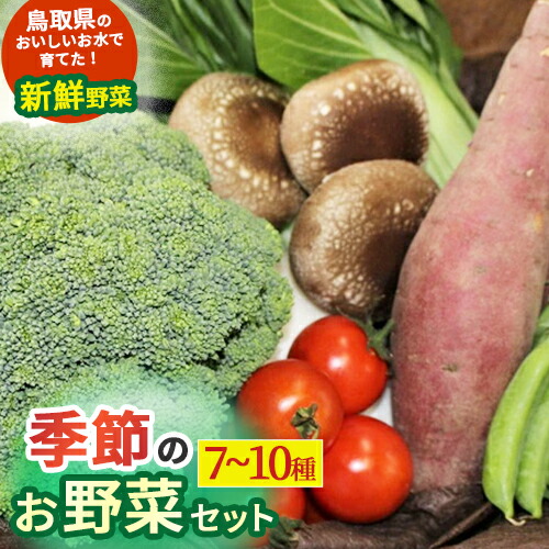 【ふるさと納税】季節のお野菜セット（7?10種） 野菜 やさい 国産野菜 野菜便 野菜詰め合わせ 季節野菜 フレッシュ野菜 旬の野菜 鳥取県産品