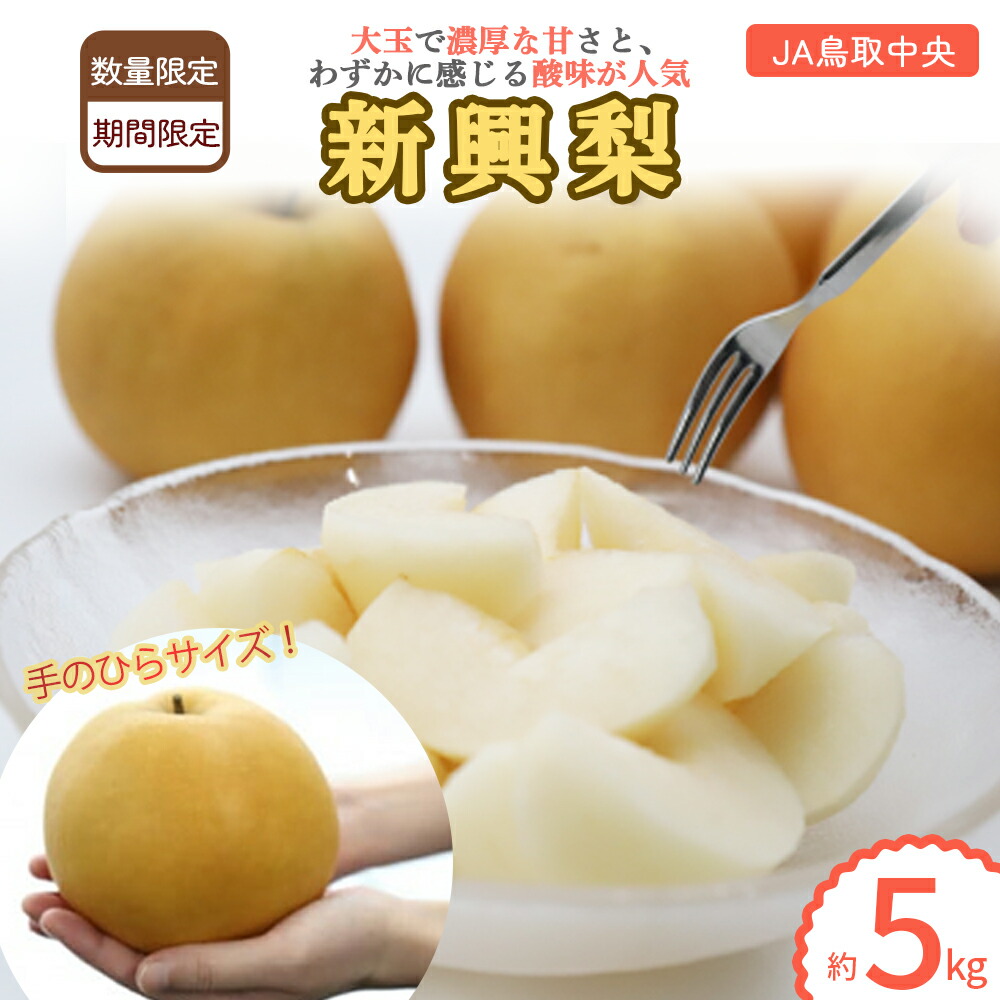 【ふるさと納税】 新興梨 【倉吉産】5kg（JA鳥取中央） 梨 なし ナシ しんこうなし 鳥取 5kg 果物 フルーツ 和梨 先行予約 数量限定 詰め合わせ 人気