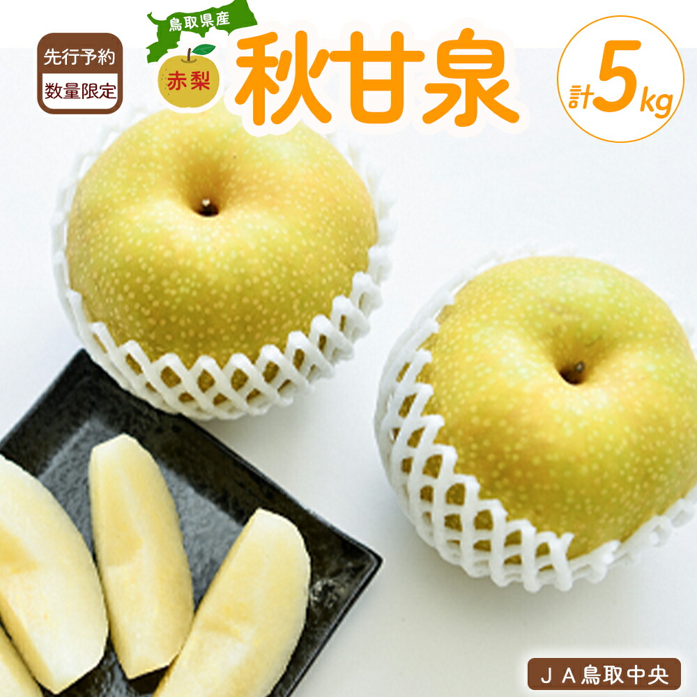 【ふるさと納税】 秋甘泉 （5kg）【倉吉産】 鳥取 梨 なし ナシ ブランド梨 あきかんせん 秋甘泉 果物 フルーツ 和梨 先行予約 数量限定 詰め合わせ 秋甘泉 甘い
