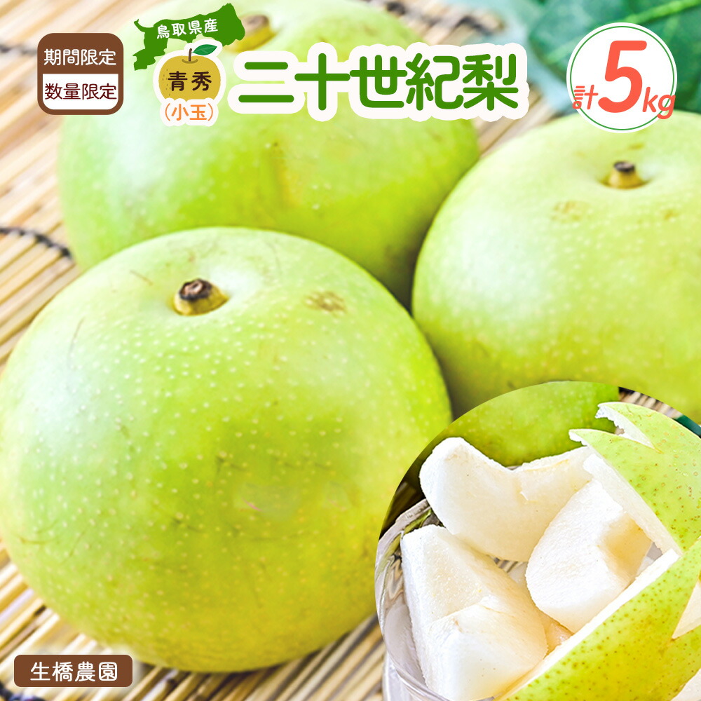 【ふるさと納税】二十世紀梨 5kg（小玉）【鳥取県産】（生橋農園） 梨 ナシ なし ブランド梨 青秀 梨 鳥取 5kg 果物 フルーツ 和梨 先行予約 数量限定 詰め合わせ 二十世紀梨 20世紀梨