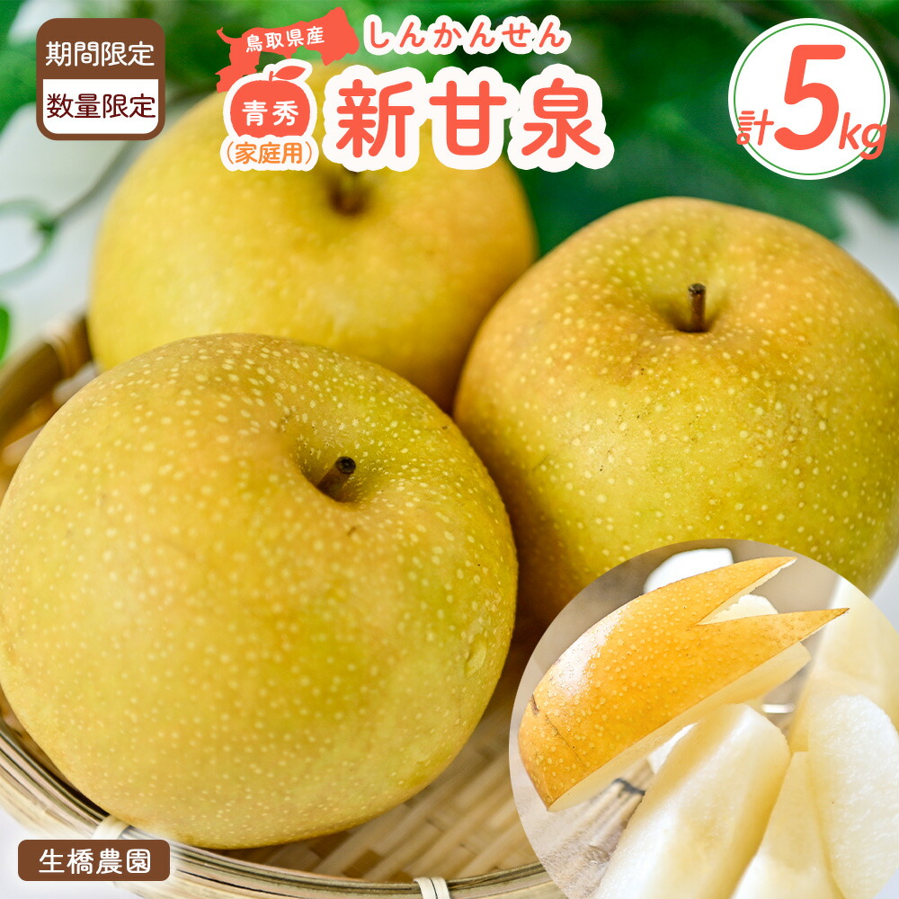 【ふるさと納税】新甘泉【鳥取県産】（家庭用）５ｋｇ（生橋農園） 青秀 鳥取 梨 5kg 果物 フルーツ 和梨 先行予約 数量限定 新甘泉 詰め合わせ 新品種