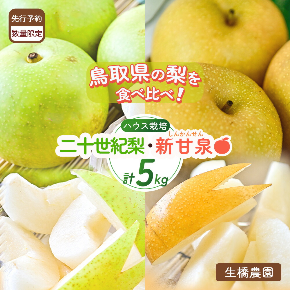 【ふるさと納税】【先行予約・数量限定】ハウス新甘泉とハウス二十世紀梨の食べ比べセット 鳥取県産 5kg 令和6年産 （生橋農園）梨 鳥取 5kg 果物 フルーツ 和梨 先行予約 数量限定 詰め合わせ 二十世紀梨 新甘泉 セット 食べ比べ 20世紀梨 お得 人気
