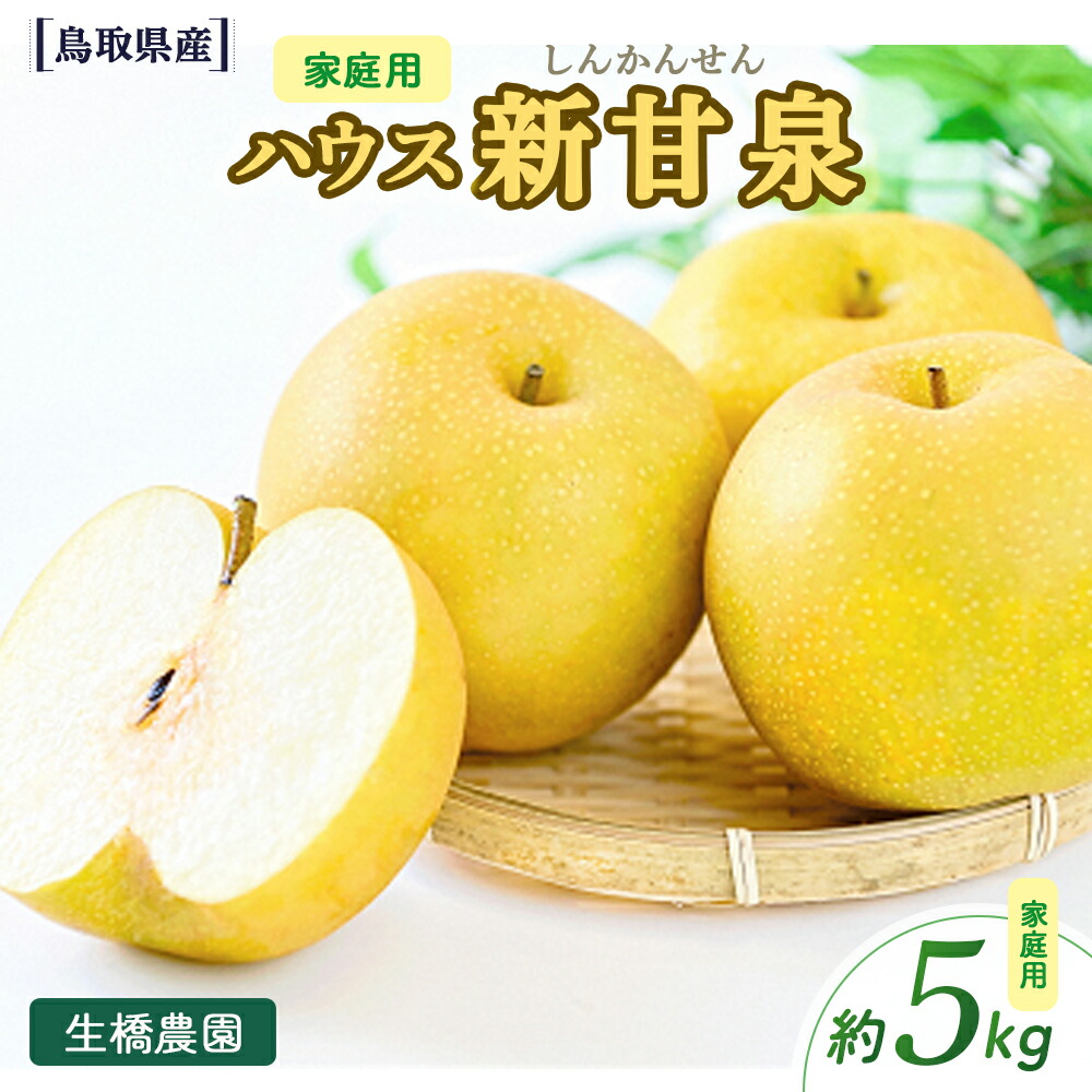 【ふるさと納税】【ご家庭用】ハウス新甘泉 5kg （生橋農園） 鳥取県産 梨 鳥取 果物 フルーツ 和梨 先行予約 数量限定 詰め合わせ 新甘泉 甘い