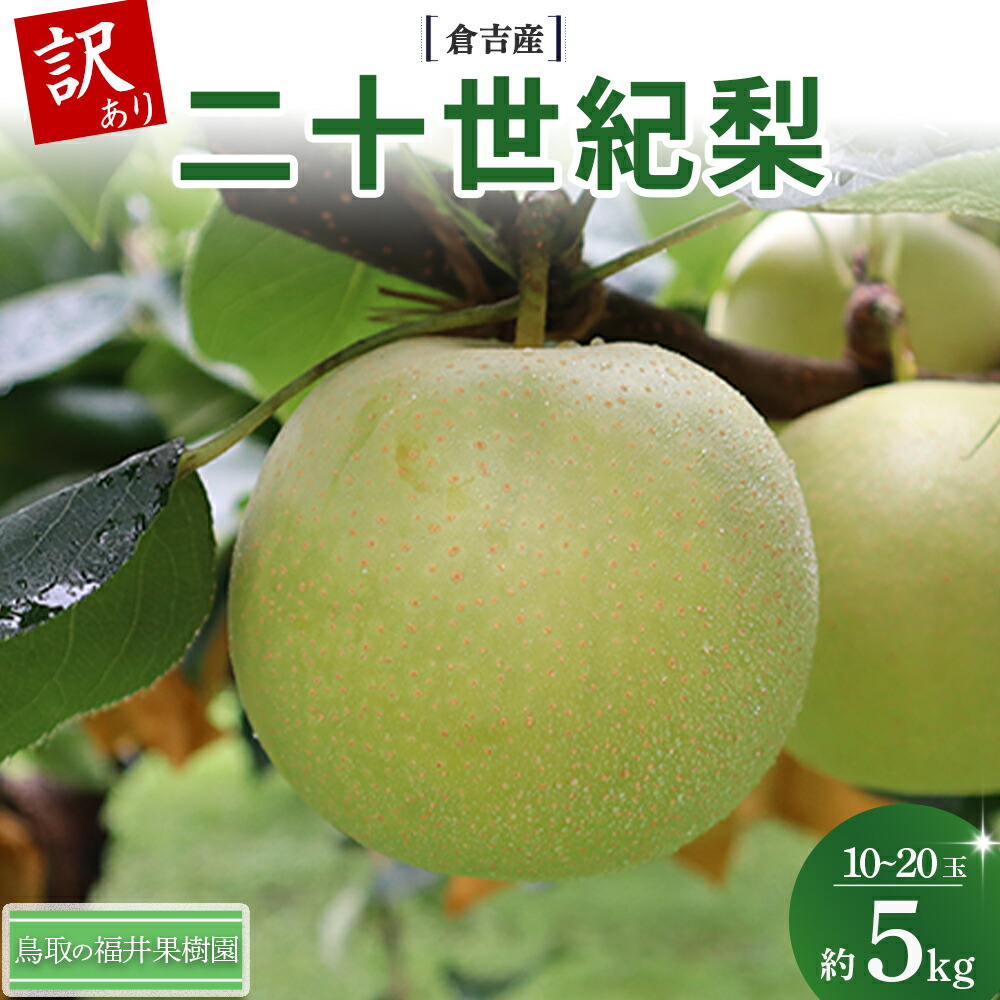 【ふるさと納税】 【訳あり】　二十世紀梨 5kg（10?20玉） 倉吉産 福井果樹園 二十世紀梨 20世紀梨 梨 なし ナシ ブランド梨 果物 フルーツ 和梨 数量限定